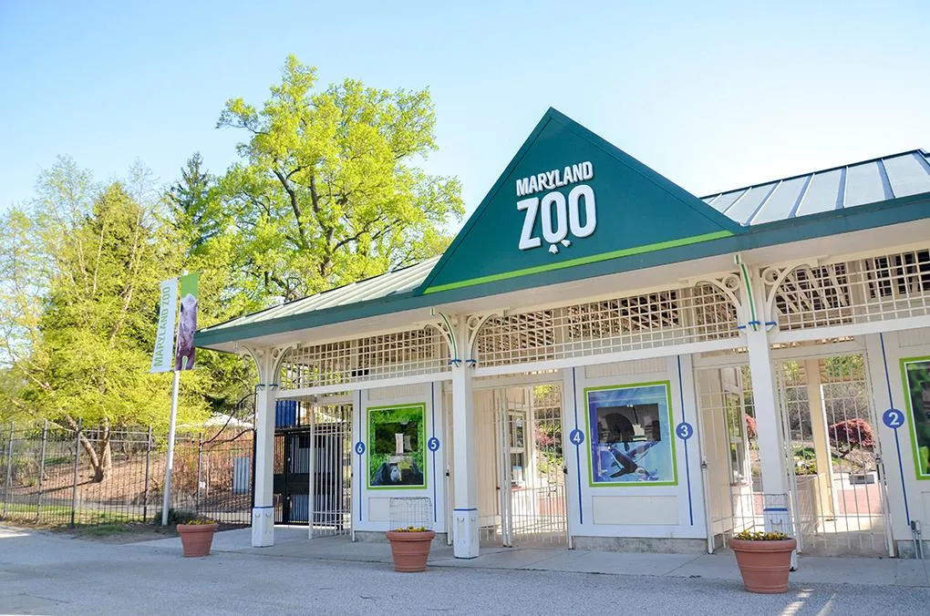 Wild Wonders Await: Explore the Maryland Zoo in Baltimore
