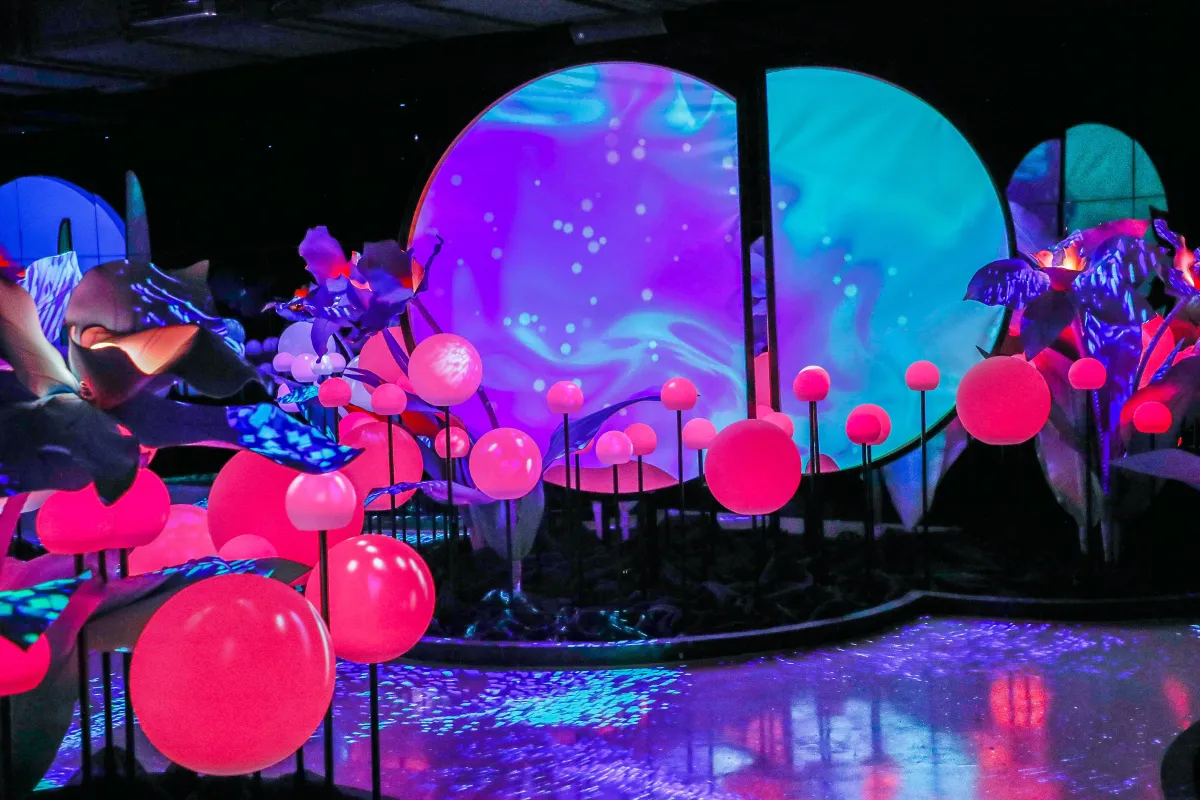 Step Into the Digital Wild: Inside DNA Museum’s Nature-Inspired Art ExperienceNew Blog Post