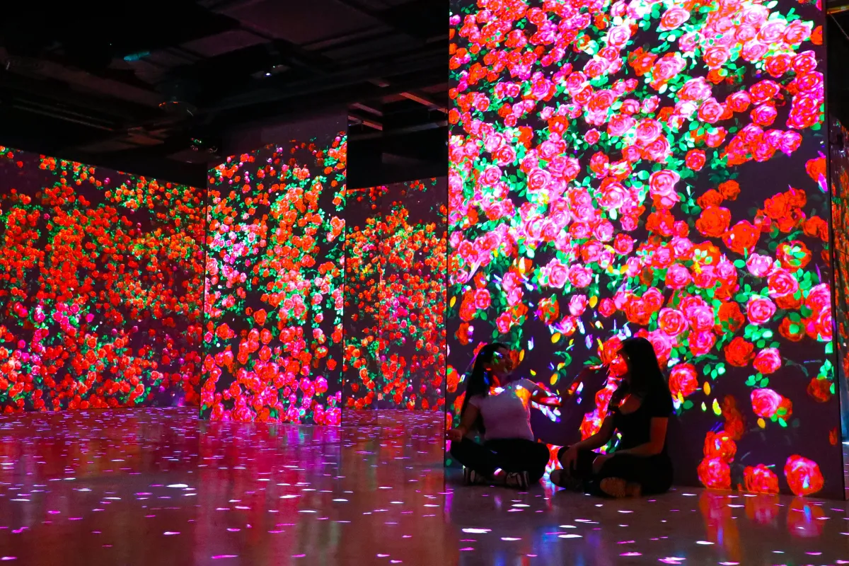 A New Kind of Gallery: Why DNA Museum Is Manila’s Must-See Digital Attraction