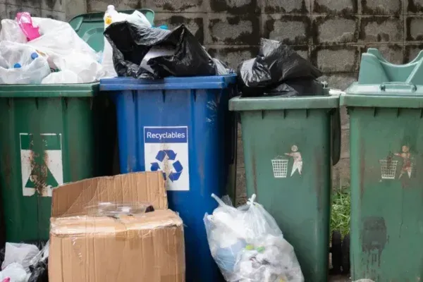 Protect Your Family from Germs: Trash Can Cleaning in Saint Charles | Fresh Bins