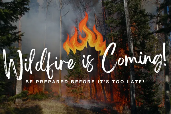 Red Beard: Wildfire Solutions in Northern Minnesota (2025)