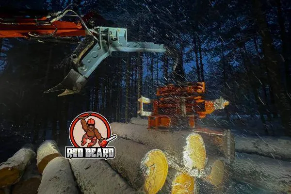 Why Winter Is Best for Tree Removal & Clearing in Northern MN