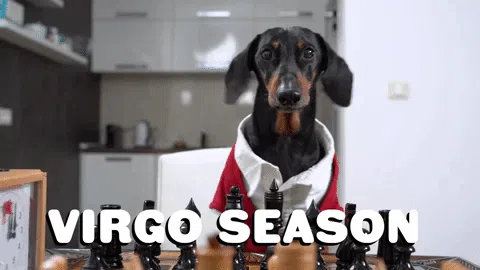 Virgo Dog