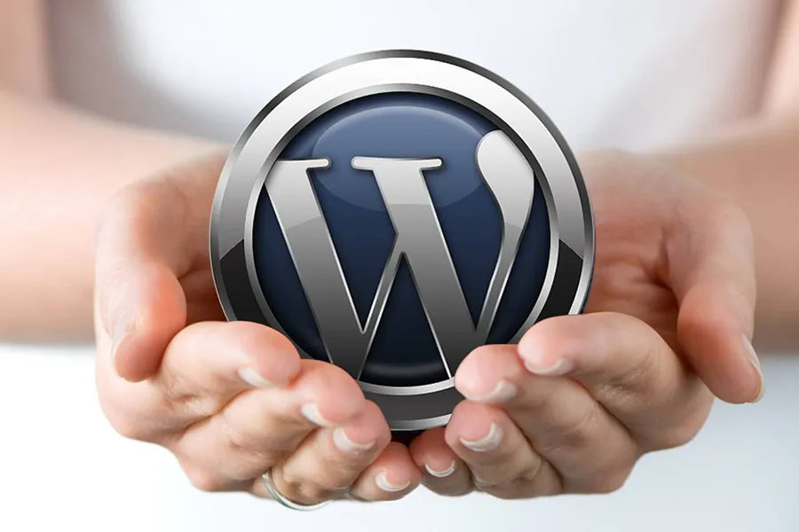 WordPress icon in someone hands