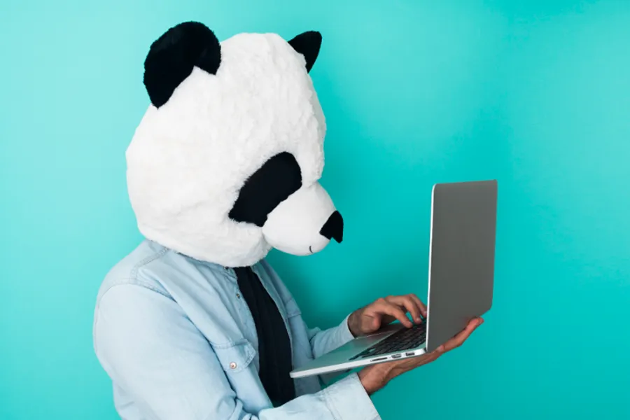 Panda holding a laptop