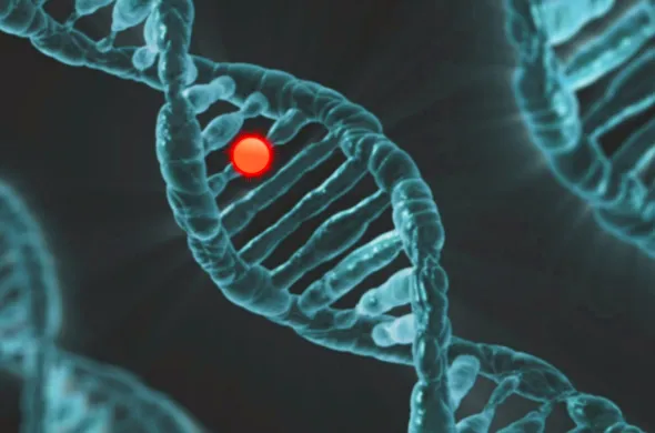 Tamizaje de portadores: la prueba genética clave antes de FIV