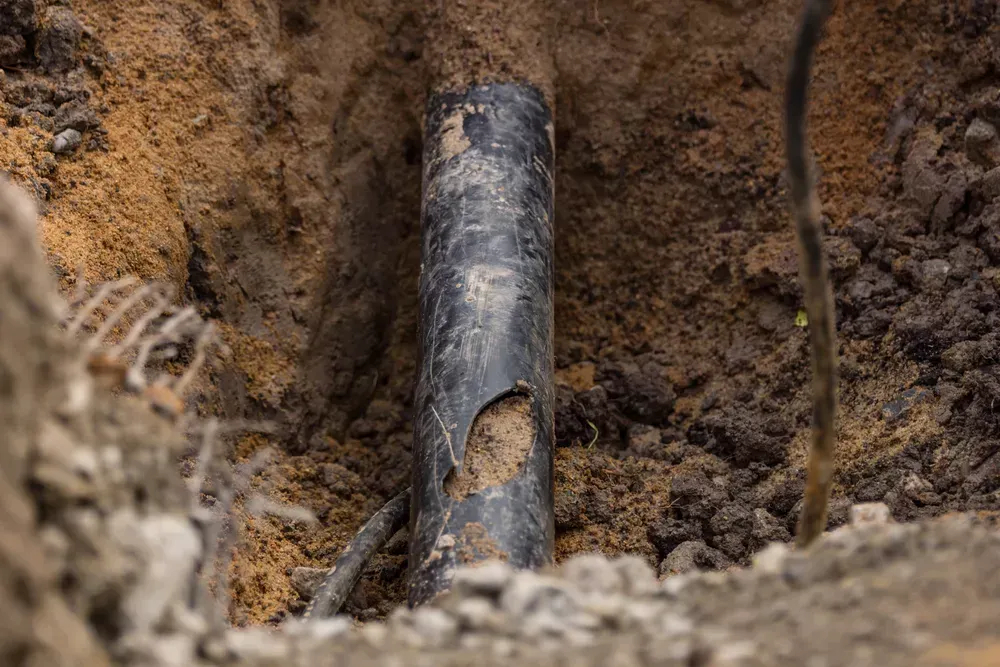 How to Prevent Sewer Line Damage in Family Homes