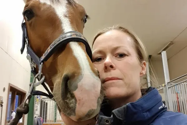 Horse being ridden in the forest