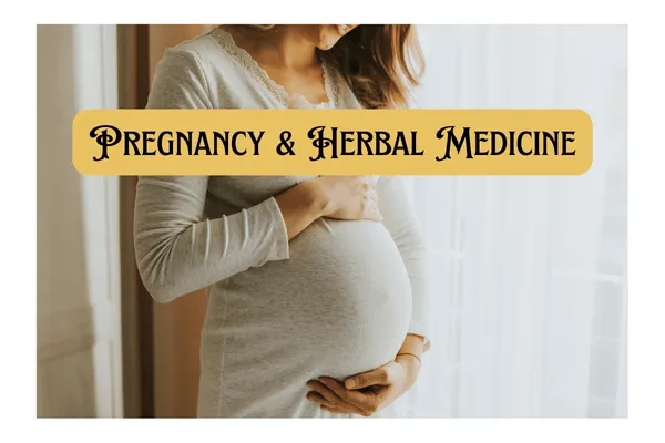 pregnancy