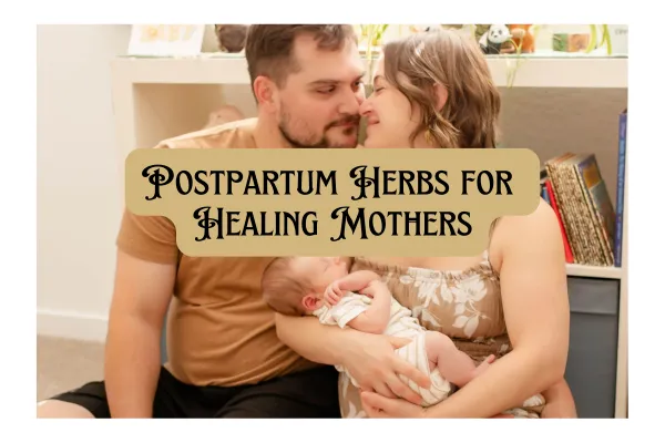Postpartum Herbs