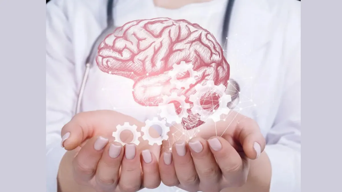You Cannot Detox the Brain Alone. Here’s Why Your Whole Body Must Work With It