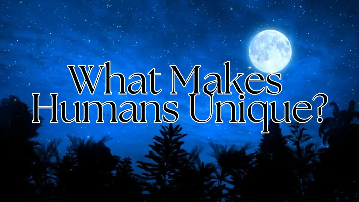 What Makes Humans Unique