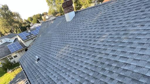 Shingle Roof