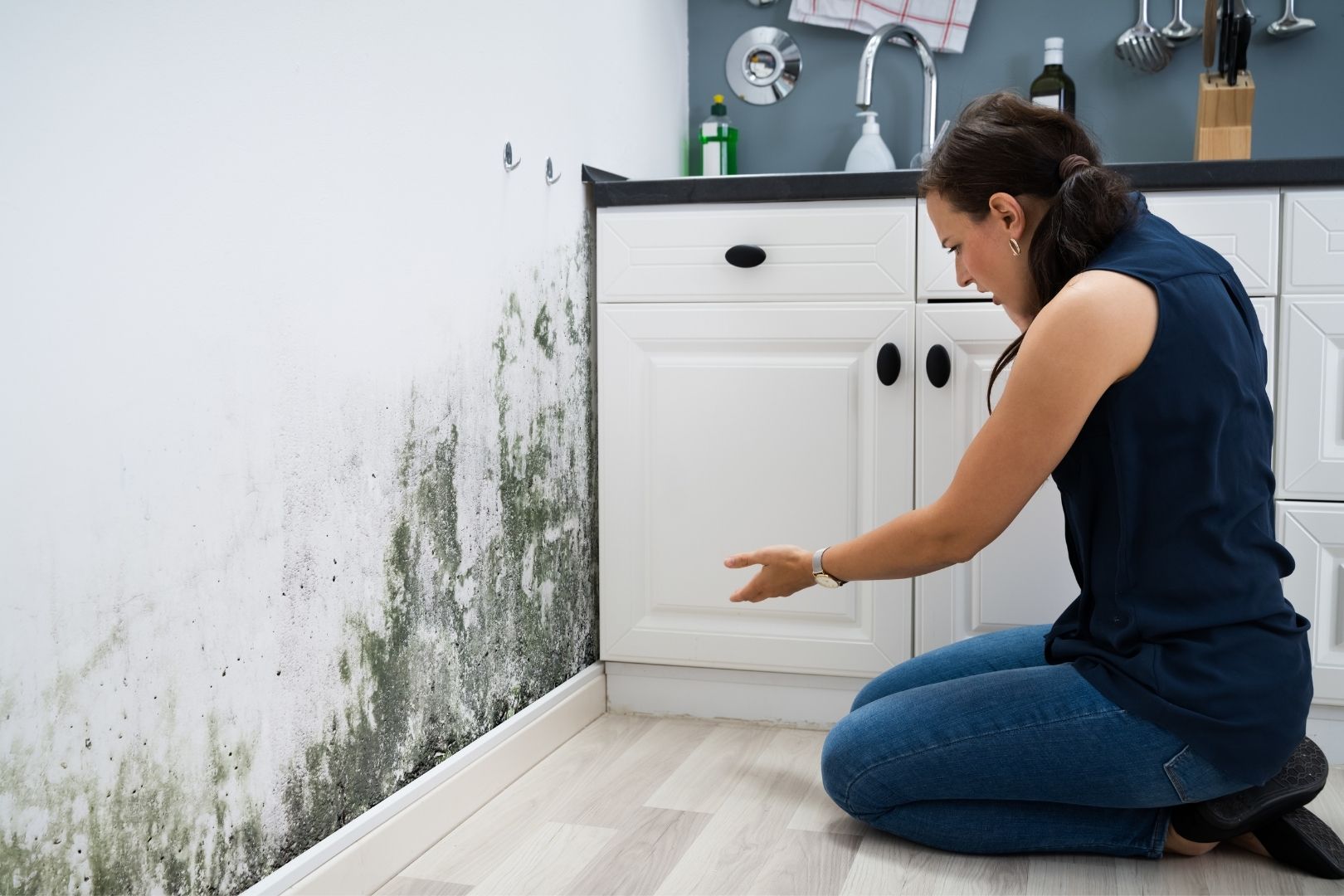 How to Tell If You Have Mold in Your Kansas City Home
