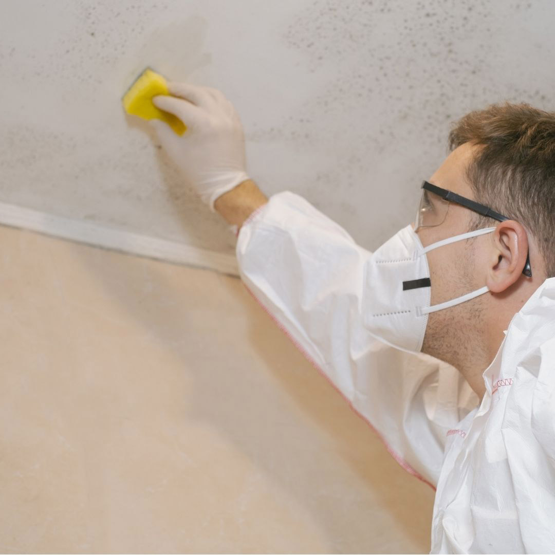 How Long Does Mold Remediation Take?