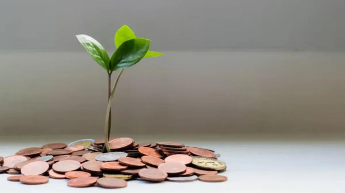 Safeguarding Your Legacy: The Role of Offshore Wealth Management