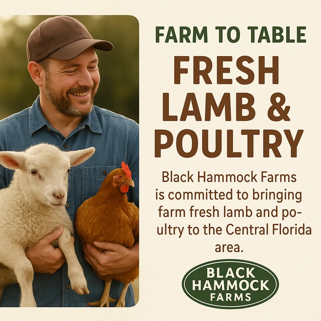 Farmer smiling while holding a lamb and a chicken, promoting Black Hammock Farms’ farm-to-table fresh lamb and poultry for Central Florida, with text highlighting their commitment to quality and local sourcing.