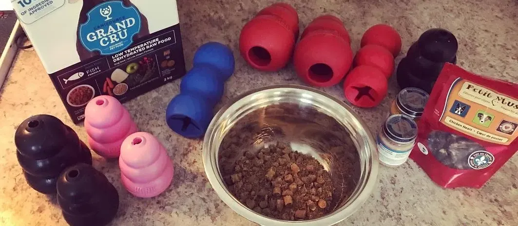 Everyday Dog Enrichment