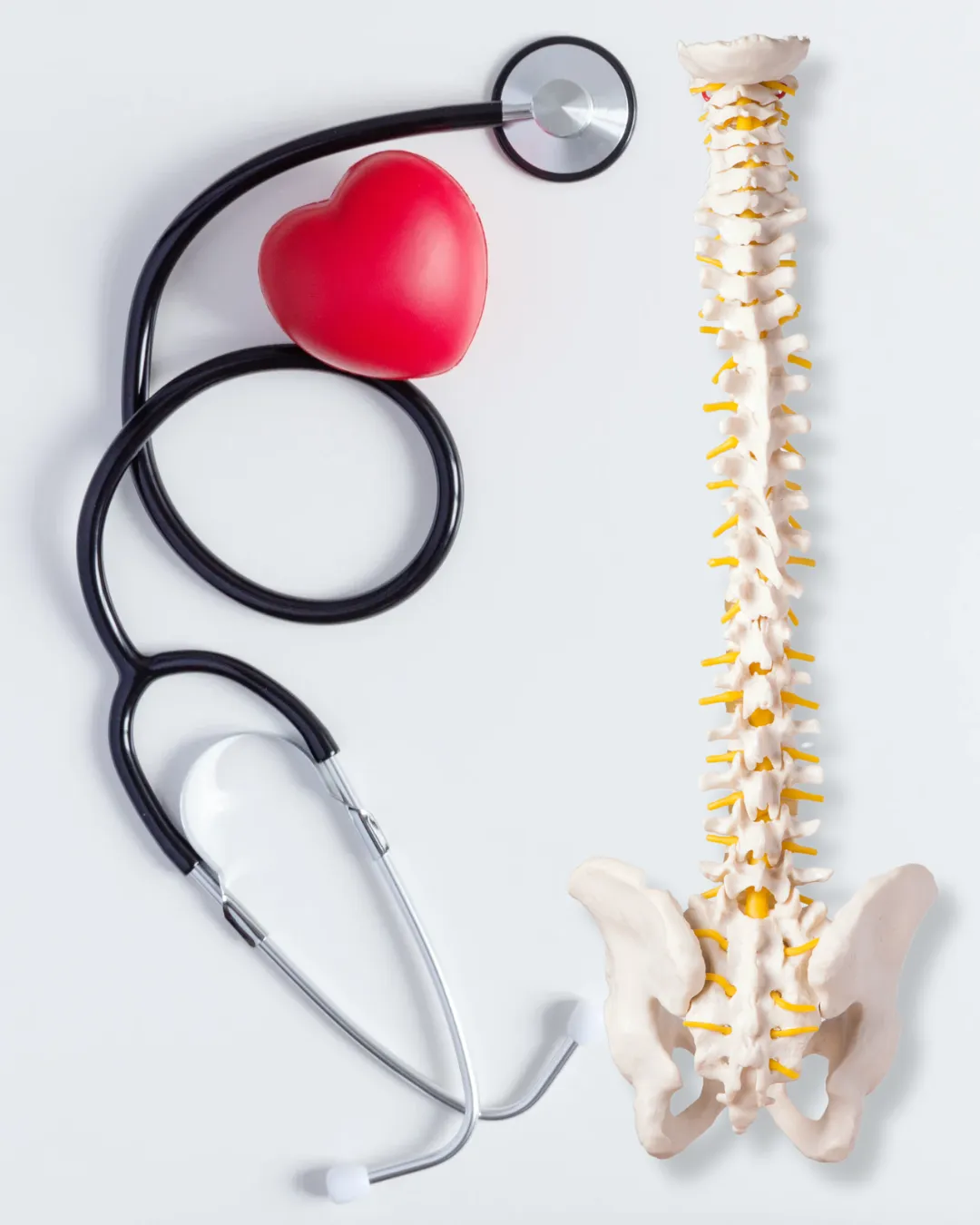 Heart Health and Chiropractic Care: Supporting Your Cardiovascular System Naturally