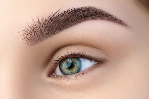 Eyebrow Sculpting