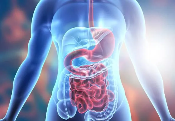 Go With Your Gut