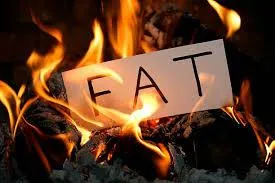 Fat Burning
