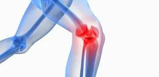 Knees