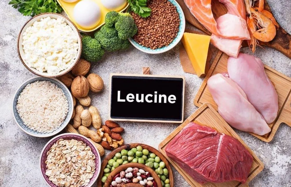 Leucine
