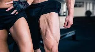 Legs