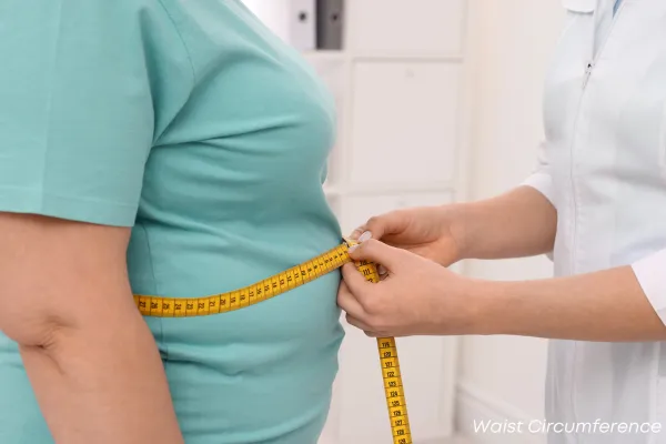 Visceral Fat