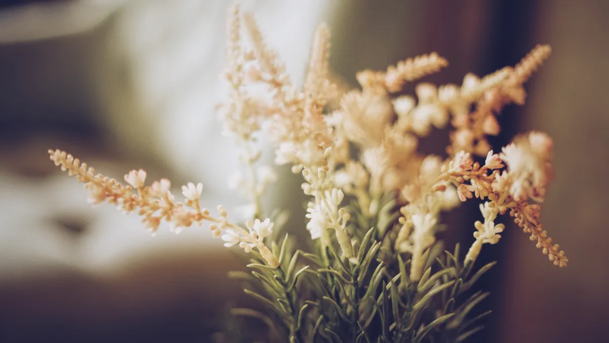 Learning to Be Still: How Mindfulness Helps You Come Home to Yourself