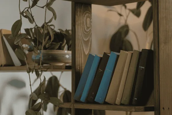 The Books That Brought Me Back to Myself