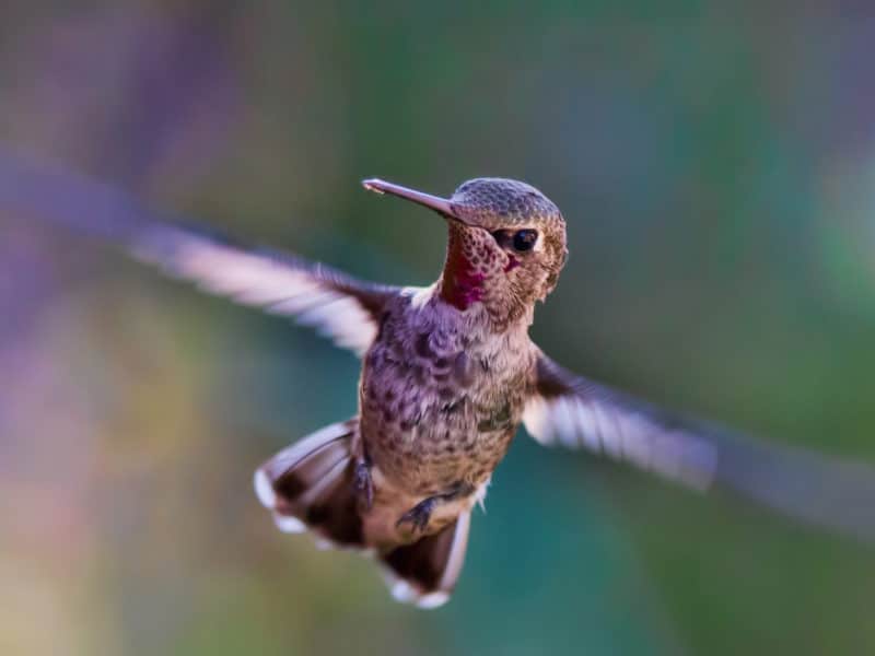 A moment of Nothing can be happiness