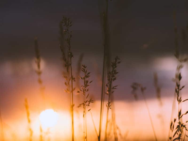 What does the Naked Eye See