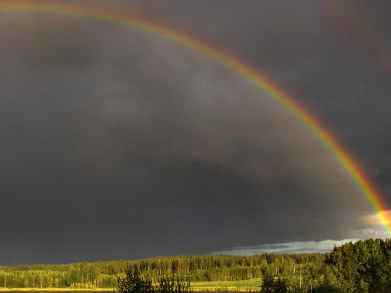 The beauty and Grace of a Rainbow