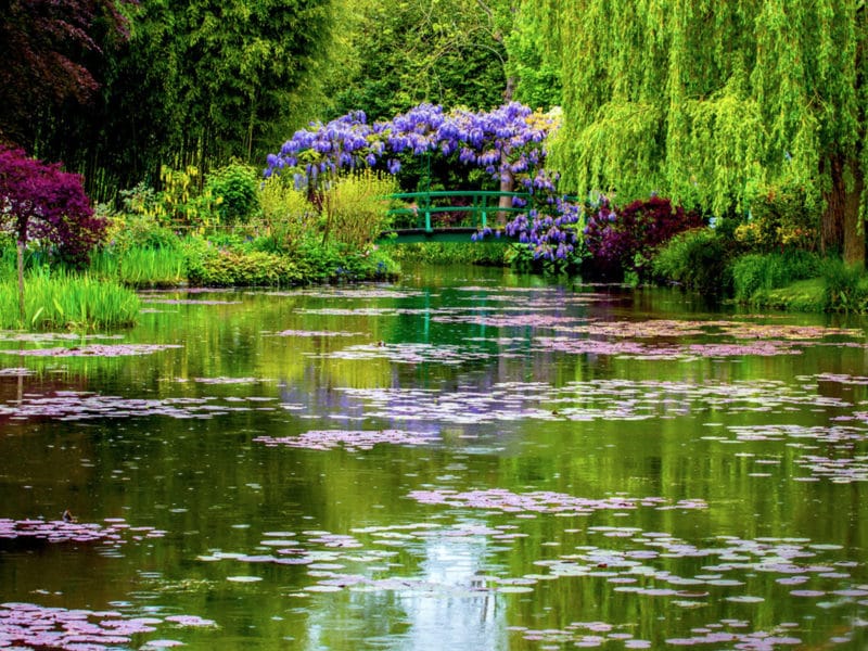 In the Footsteps of Creativity and Beauty Monet's Garden