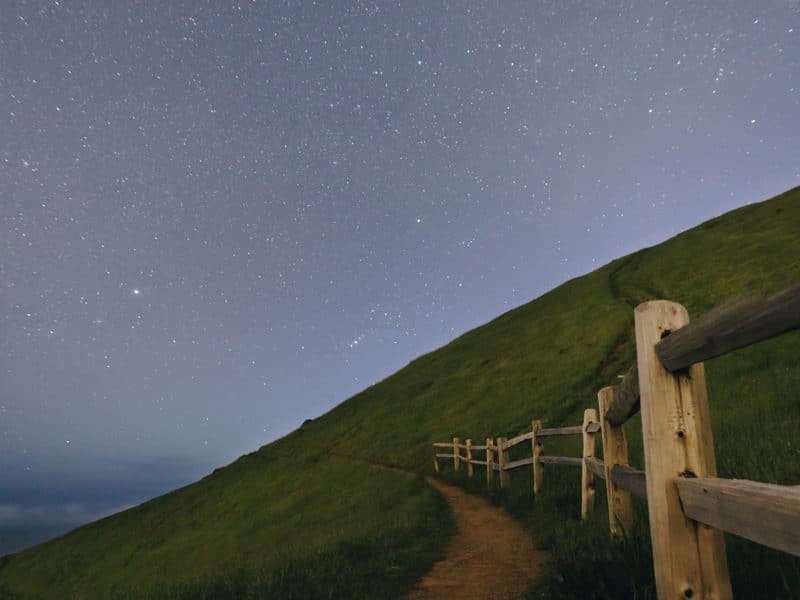 The Walk of the Artist: The Inner Wisdom of “Not-Knowing”