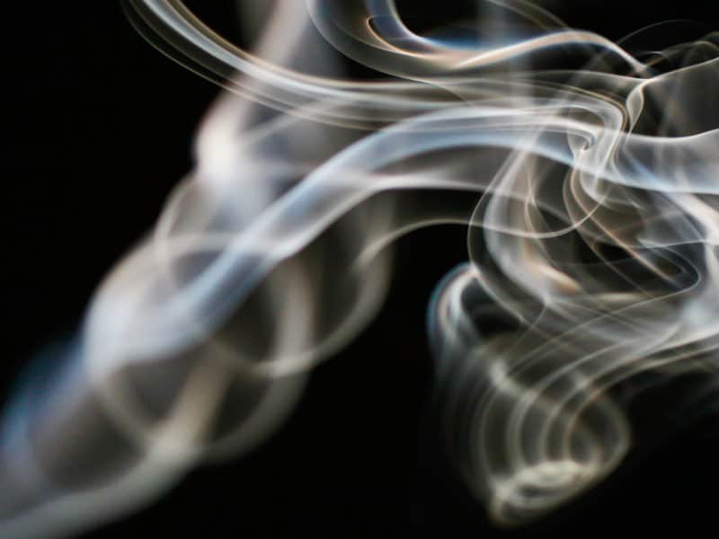 The Fragrance of the Silence