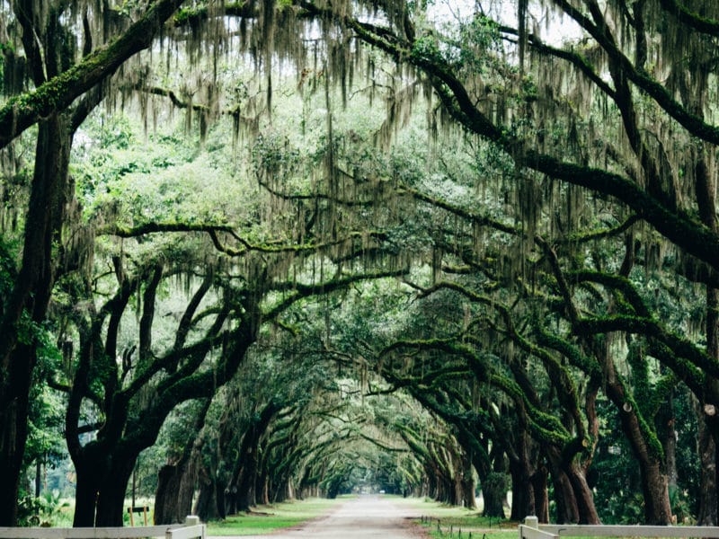 Listening for what we don't understand is a true path to awakening