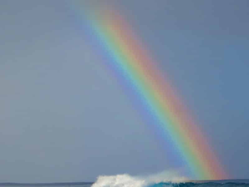 Compassion is the Prism of the Mind