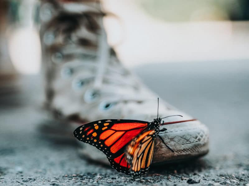 Seeing the Possible Best in Everyone