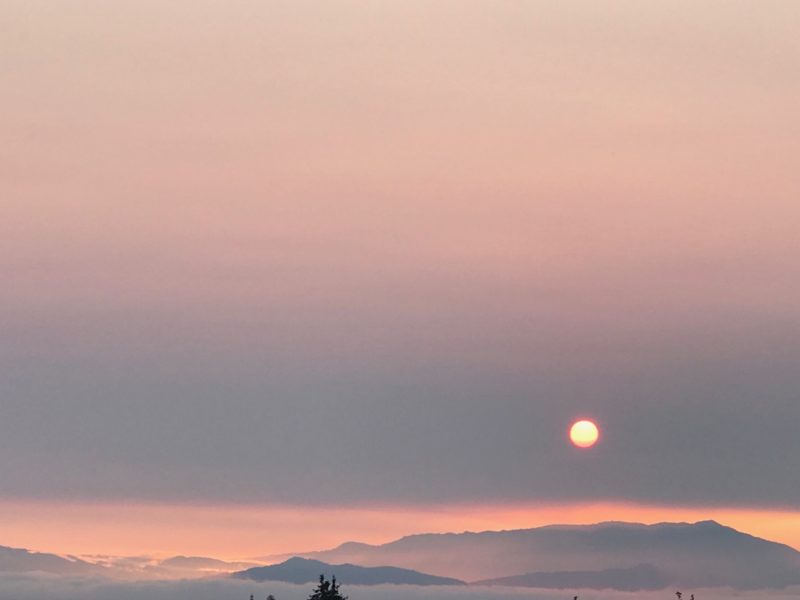 The Modern Mystic San Francisco Bay 2019