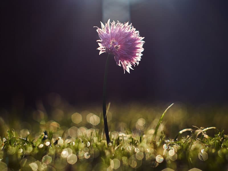 We are Wondrous in the midst of trauma