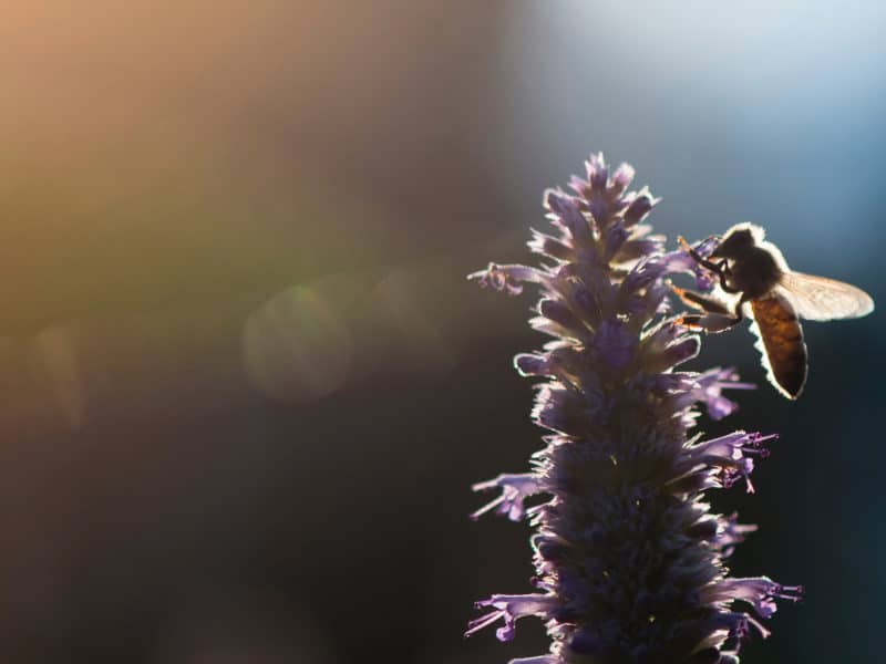 Ten Points for Life on Reflection