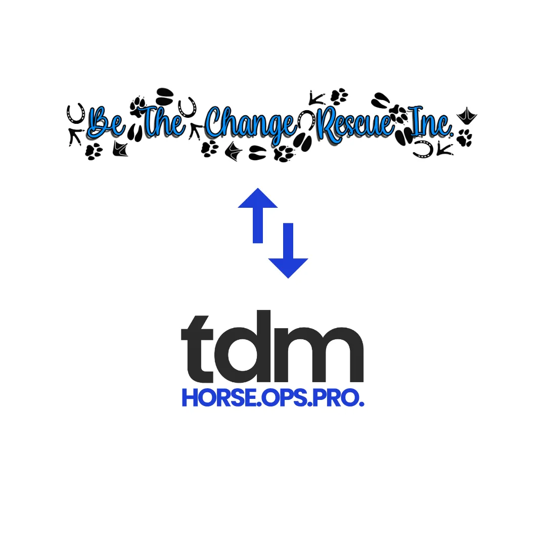 TDMFunnels & BTCR