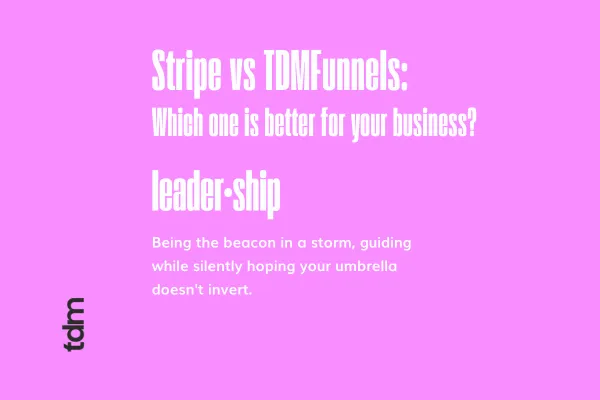 Stripe vs TDMFunnels