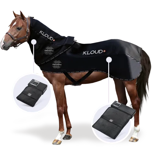 Kloud Vet set