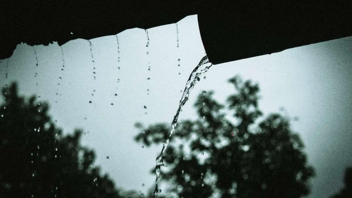 How to Harvest Rainwater Using Gutters & Barrels