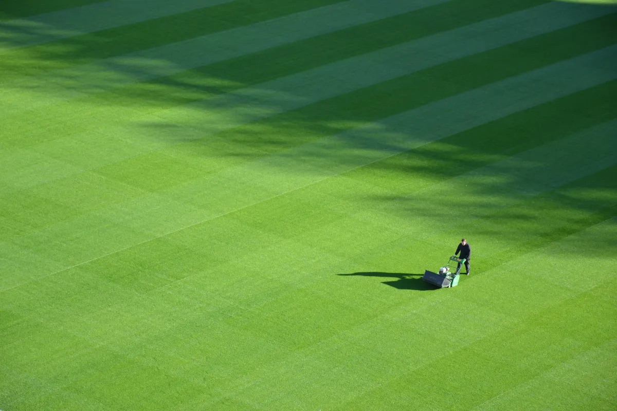 How GreenPro Landscaping Stopped Bleeding Leads and Added $22K in 30 Days
