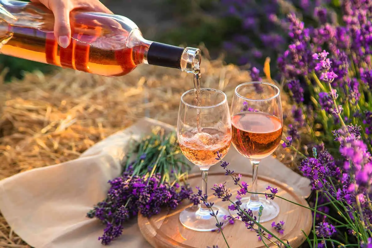 The Ultimate Guide to Rosé Wine for Every Occasion